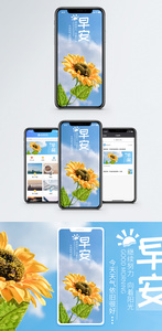 早安手机海报配图图片