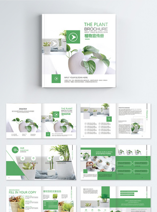 绿色植物宣传画册整套产品画册高清图片素材