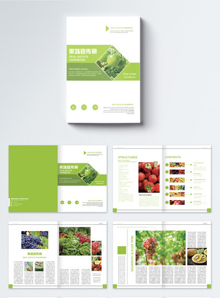 新鲜果蔬画册整套水果高清图片素材