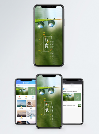 白露手机海报配图图片