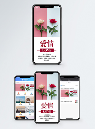 红玫瑰与白玫瑰爱情手机海报配图模板