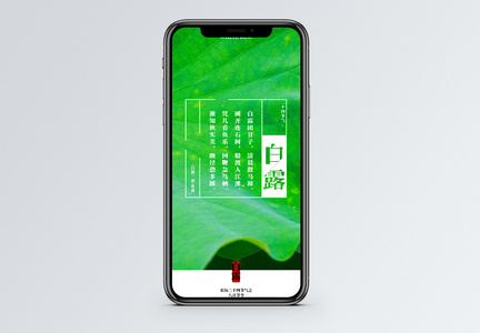 白露手机海报配图图片