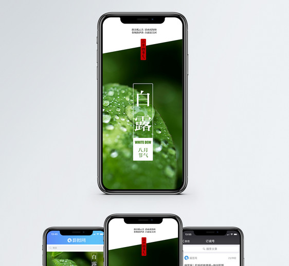 白露手机海报配图图片