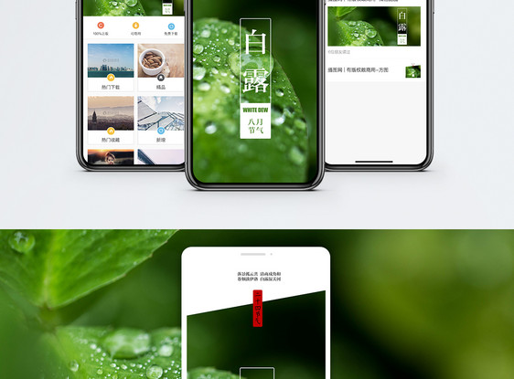 白露手机海报配图图片