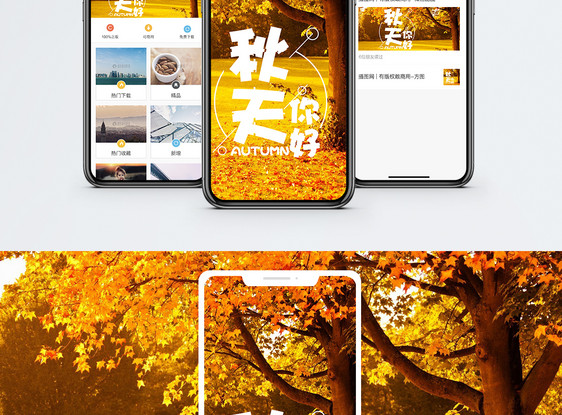 秋天你好手机海报配图图片