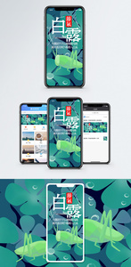 白露手机海报配图图片
