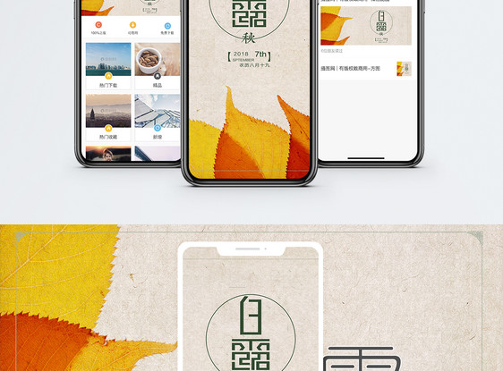 白露节气手机海报配图图片