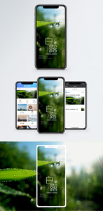 白露节气手机海报配图图片