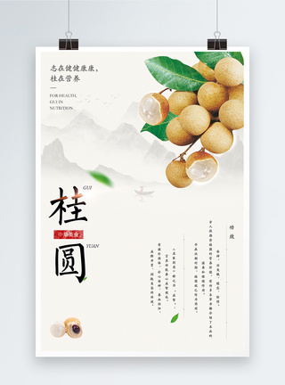 桂圆美食海报图片