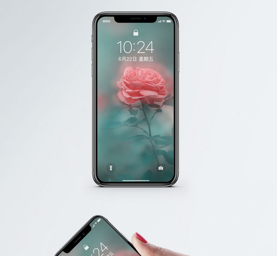 玫瑰花手机壁纸图片