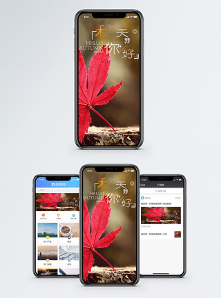 枫叶秋天你好手机海报配图模板