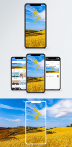 秋收季手机海报配图图片