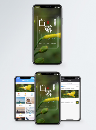 白露手机海报配图图片