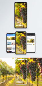 秋收手机海报配图图片