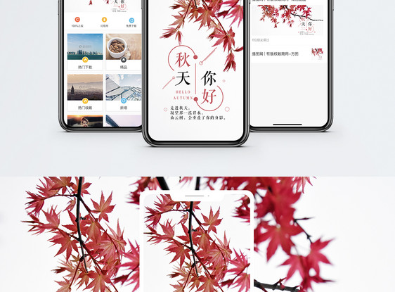 秋天手机海报配图图片