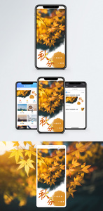 秋分手机海报配图图片