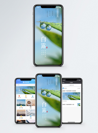 露珠白露手机配图模板