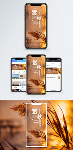 赏秋手机海报配图图片