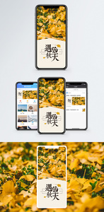 遇见秋天手机海报配图图片