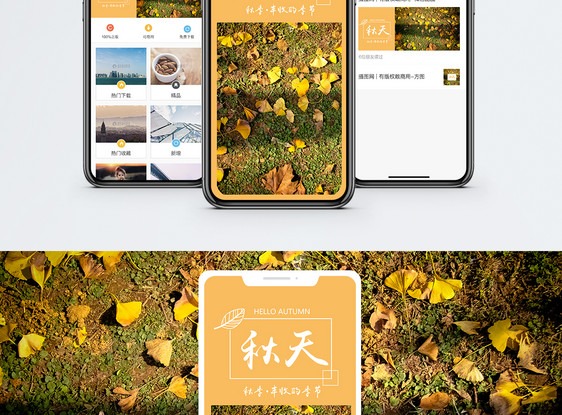 秋天手机海报配图图片