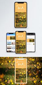 秋天手机海报配图图片