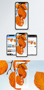 等秋来手机海报配图图片