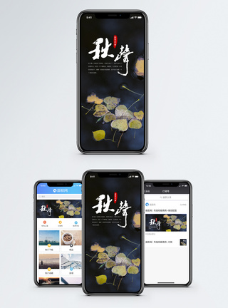 落叶知秋手机海报配图图片