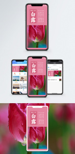 白露手机海报配图图片