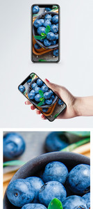 精品蓝莓手机壁纸图片