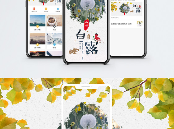 白露手机海报配图图片