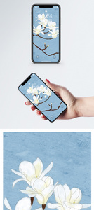 玉兰花手机壁纸图片