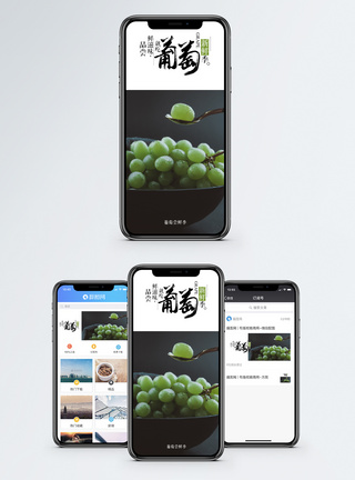 新鲜葡萄手机海报配图图片