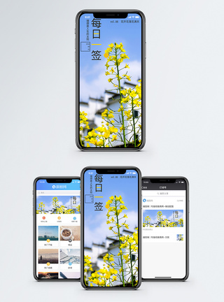 黄花每日一签手机海报配图模板