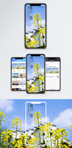 每日一签手机海报配图图片