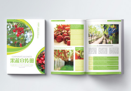 新鲜果蔬画册整套图片