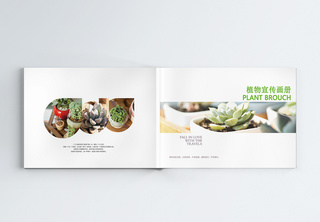 多肉植物宣传画册整套绿色高清图片素材