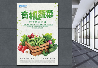 蔬菜海报纯天然高清图片素材