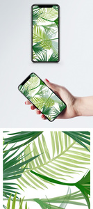 植物手机壁纸图片