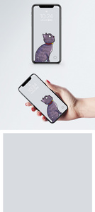 猫手机壁纸图片