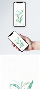 小清新植物手机壁纸图片