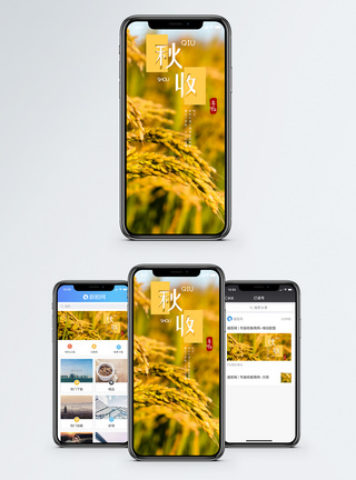 秋收手机海报配图图片