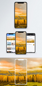 秋分手机海报配图图片