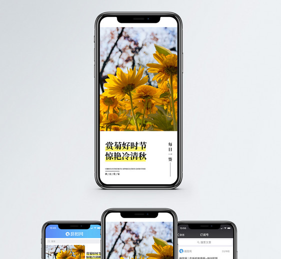 秋日赏菊手机海报配图图片