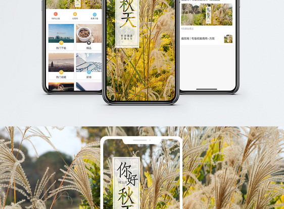 你好秋天手机海报配图图片