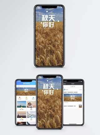 金黄的麦田秋天手机海报配图模板