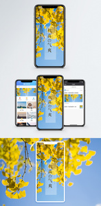 秋高气爽手机海报配图图片