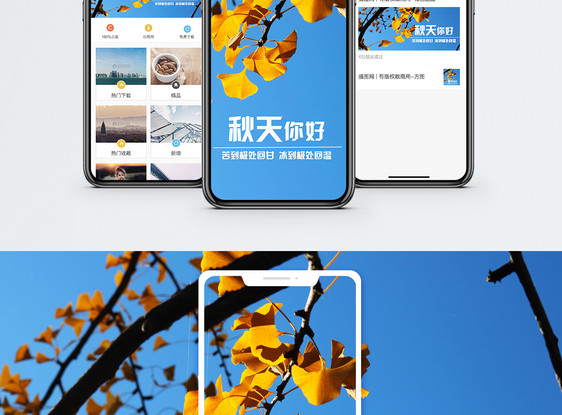 秋天手机海报配图图片