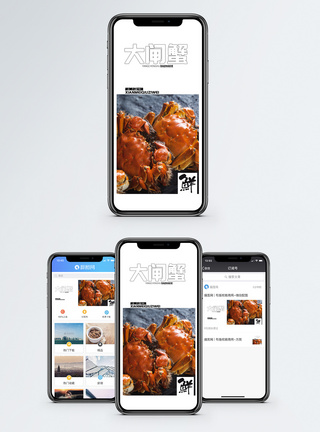 蘸料大闸蟹手机海报配图模板