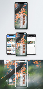 秋天手机海报配图图片
