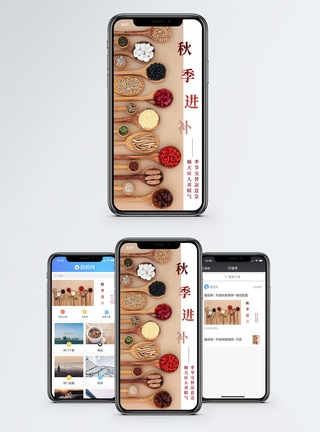 秋季进补手机海报配图图片
